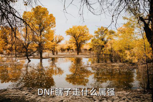 DNF瞎子走什么属强