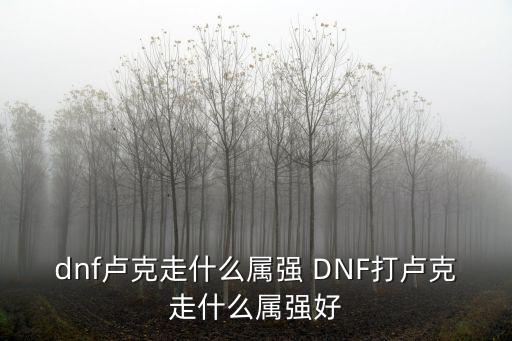 dnf卢克走什么属强 DNF打卢克走什么属强好