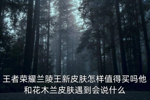 王者荣耀兰陵王新皮肤怎样值得买吗他和花木兰皮肤遇到会说什么