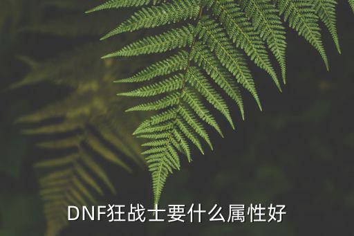 DNF狂战士要什么属性好