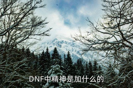 dnf精神属性加的是什么，DNF中精神是加什么的