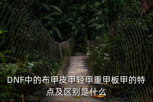 dnf轻甲加什么属性，dnf各种轻甲套装有什么附加属性多讲一点哦