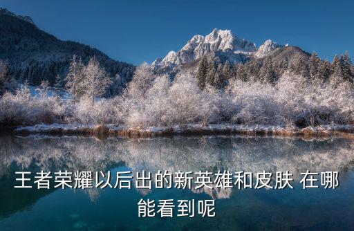 王者荣耀怎么看新赛季皮肤，王者荣耀刚刚领的新皮肤在哪里看