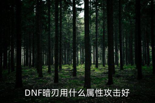 DNF暗刃用什么属性攻击好