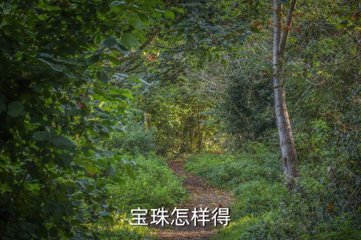 宝珠怎样得