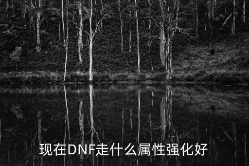 现在DNF走什么属性强化好