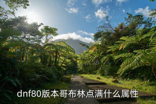 dnf80版本哥布林点满什么属性