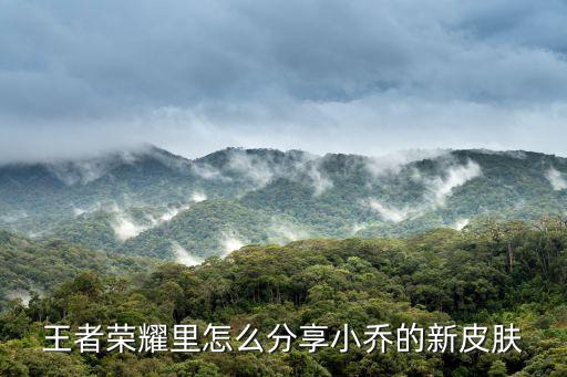 王者荣耀里怎么分享小乔的新皮肤