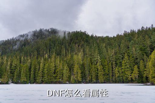 DNF怎么看属性