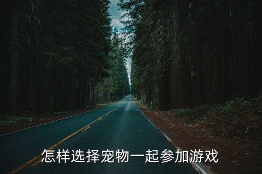 怎样选择宠物一起参加游戏