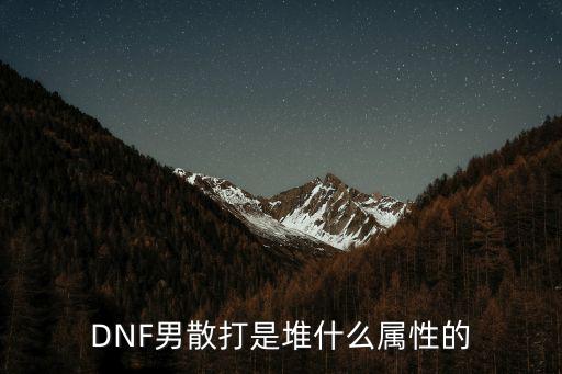 dnf男散打主属性是什么，DNF男散打是堆什么属性的