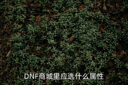 dnf玉荣选什么属性，DNF商城里应选什么属性