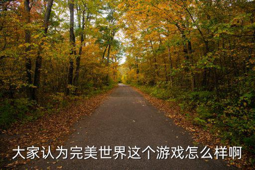 大家认为完美世界这个游戏怎么样啊