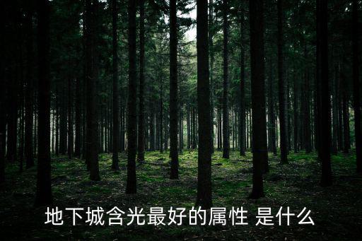 地下城含光最好的属性 是什么