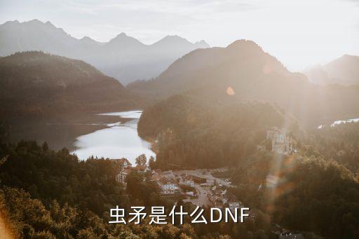 dnf矛虫是什么属性，dnf虫矛有属性攻击吗