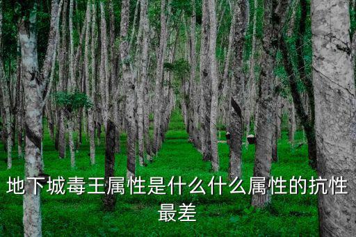 dnf毒王自身什么属性，地下城毒王属性是什么什么属性的抗性最差