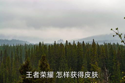 王者荣耀 怎样获得皮肤