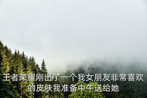 王者荣耀刚出了一个我女朋友非常喜欢的皮肤我准备中午送给她
