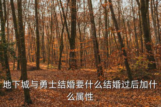 地下城与勇士结婚要什么结婚过后加什么属性