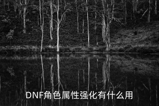 DNF角色属性强化有什么用