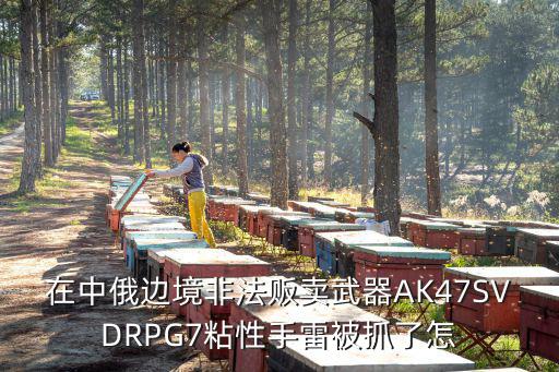 在中俄边境非法贩卖武器AK47SVDRPG7粘性手雷被抓了怎