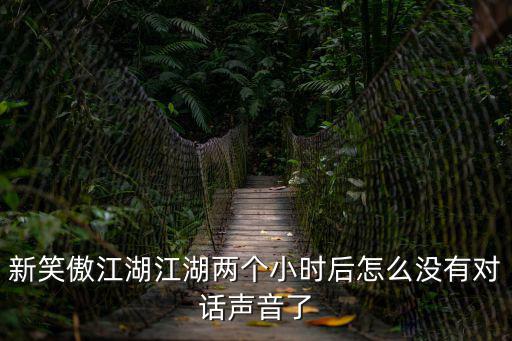 新笑傲江湖江湖两个小时后怎么没有对话声音了