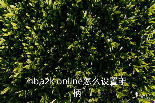 手游2k21怎么连接手柄，NBA2K Online手柄设置 怎么设置手柄