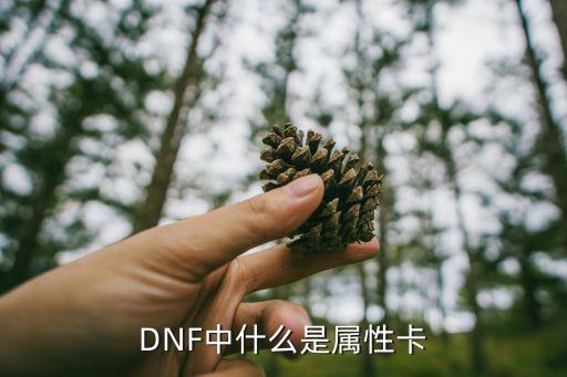 DNF中什么是属性卡