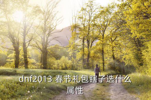 dnf瞎子光环选什么属性，dnf2013 春节礼包瞎子选什么属性