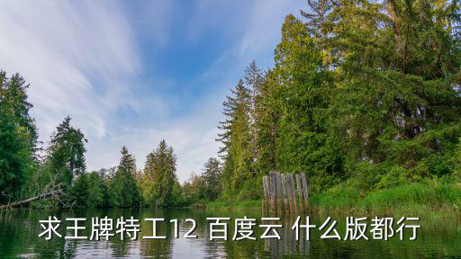 求王牌特工12 百度云 什么版都行