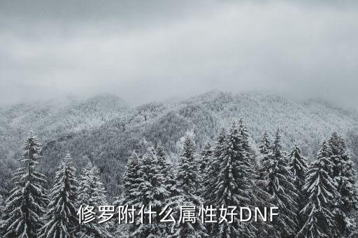 修罗附什么属性好DNF