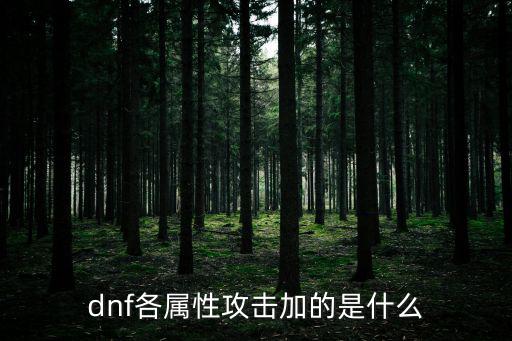 dnf各属性攻击加的是什么