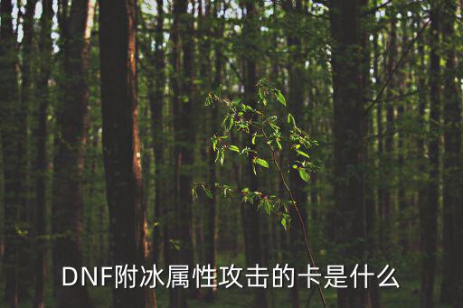 dnf上冰属性卡片叫什么，dnf附冰属性攻击的卡片是哪个