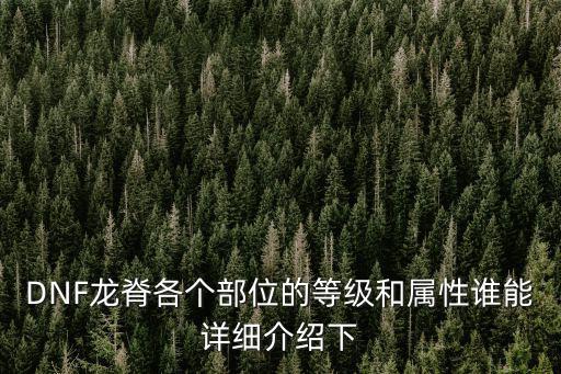 DNF龙脊各个部位的等级和属性谁能详细介绍下