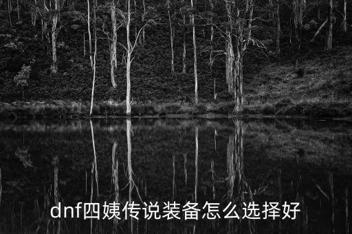 dnf四姨传说装备怎么选择好
