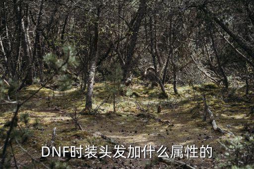 DNF时装头发加什么属性的