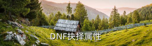 dnf抉择之路选什么属性，DNF抉择属性