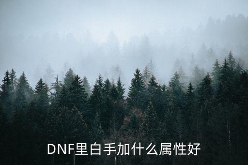 DNF里白手加什么属性好