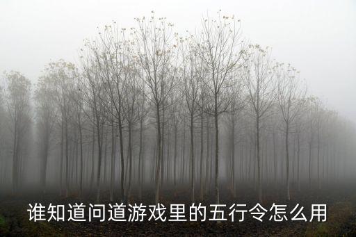 谁知道问道游戏里的五行令怎么用