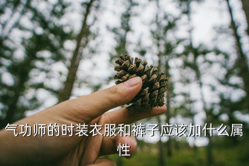 气功师的时装衣服和裤子应该加什么属性