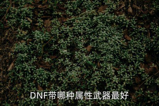 DNF带哪种属性武器最好