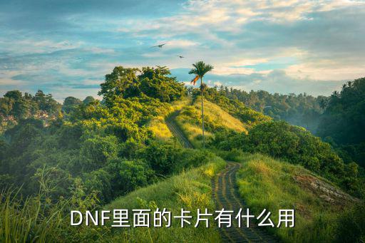 DNF里面的卡片有什么用