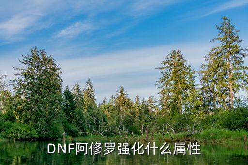 dnf阿波罗加什么属性，DNF阿修罗走什么属性强化