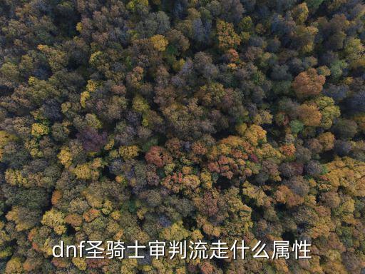 dnf审判者走什么属性，DNF血之审判者 满属性