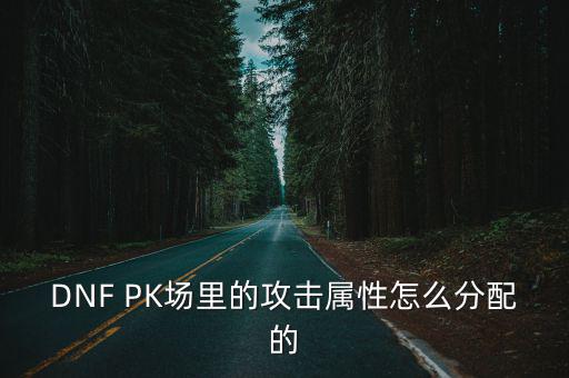 DNF PK场里的攻击属性怎么分配的