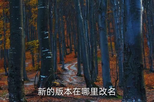 新的版本在哪里改名