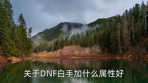 关于DNF白手加什么属性好