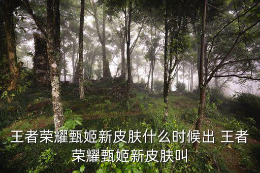 王者荣耀甄姬新皮肤怎么玩，王者荣耀甄姬新皮肤什么时候出 王者荣耀甄姬新皮肤叫