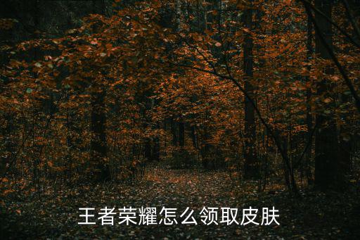 王者荣耀怎么领取皮肤