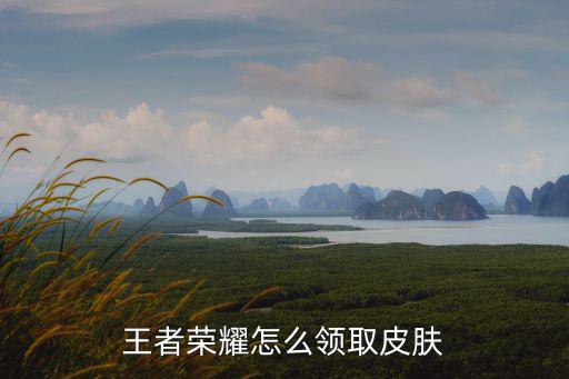 王者荣耀怎么领取皮肤